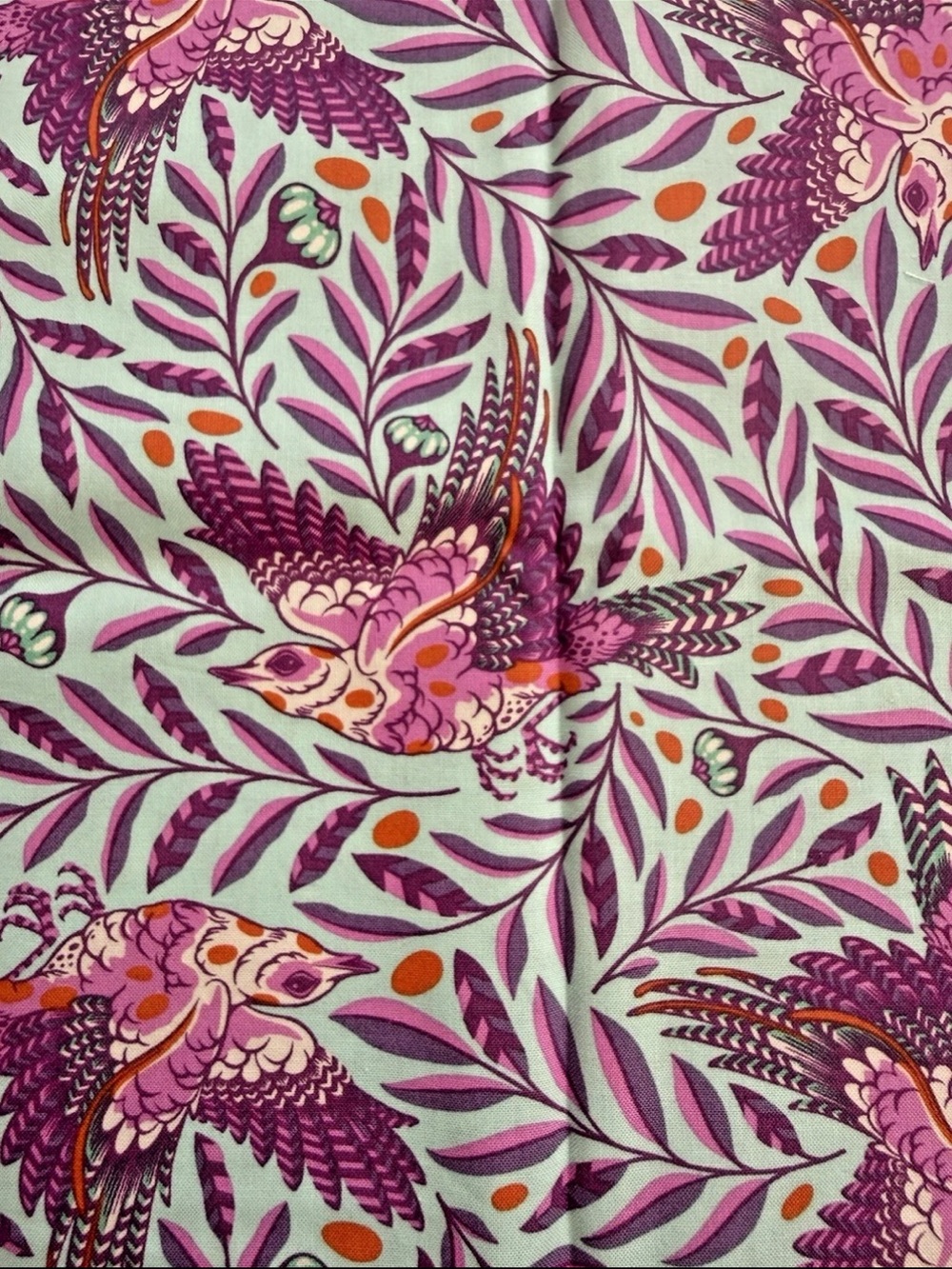 Tula Pink Spirit Animal Retweet Aurora Quilting Cotton Fabric Remnant 10" x 44"